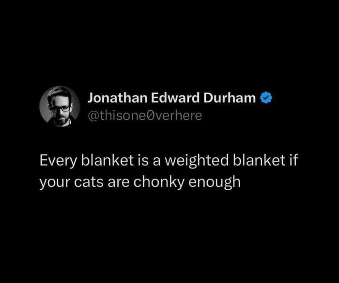 Hilarious-Cat-Jokes-Memes