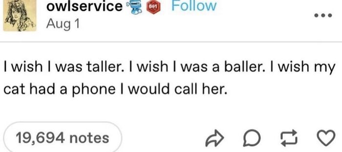 Hilarious-Cat-Jokes-Memes