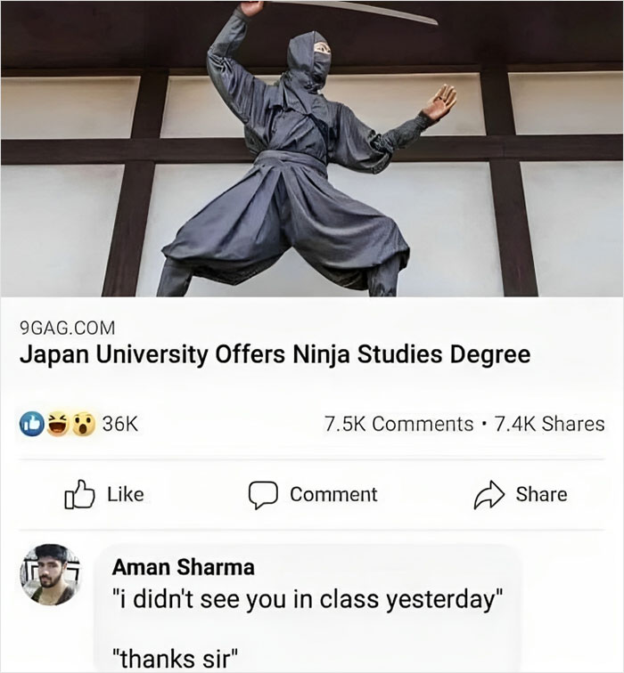 Ninja meme featuring Japan university offering a ninja studies degree with humorous comments below.