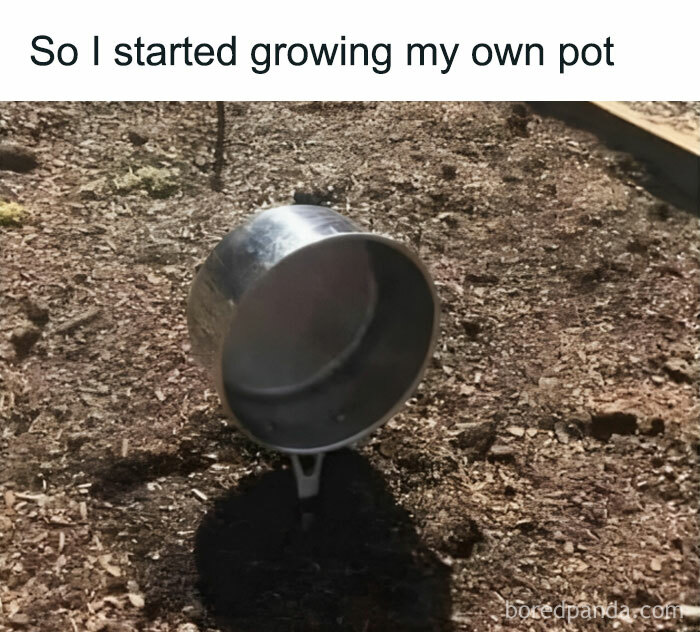 A pun meme showing a pot partially buried in soil with the caption "So I started growing my own pot."