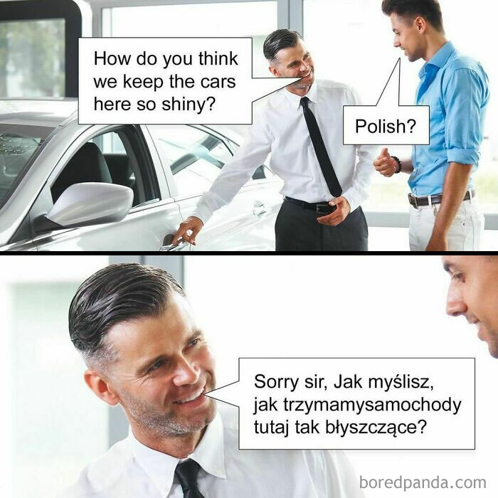 Two men discussing a shiny car, using a pun that plays on the word "Polish" in English and Polish languages.