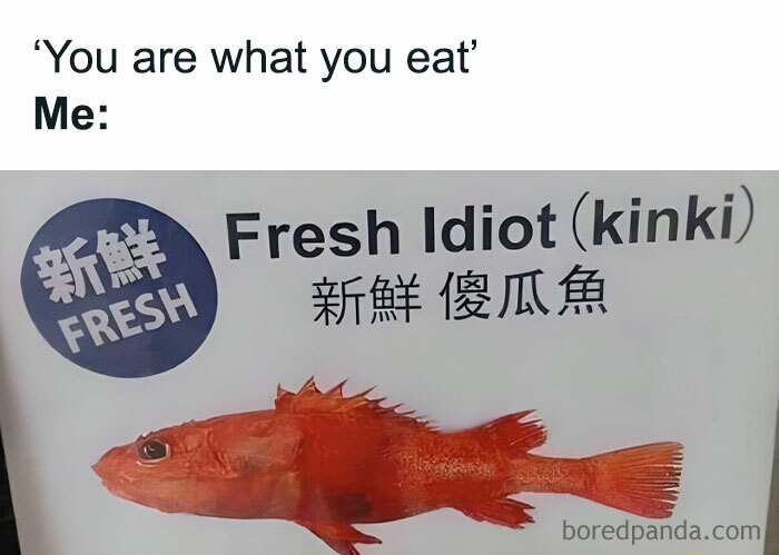 Funny meme with a red fish labeled "Fresh Idiot (kinki)" under the phrase "You are what you eat" for pun enthusiasts.