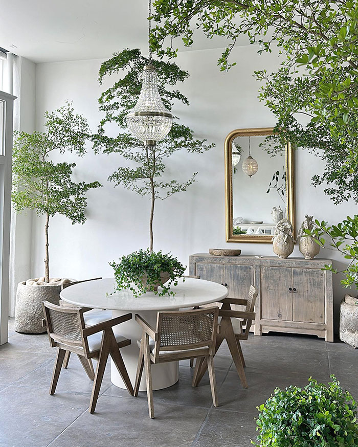 Indoor greenery with rustic furniture creating fresh and stylish home decor ideas infused with designer insights and natural elements