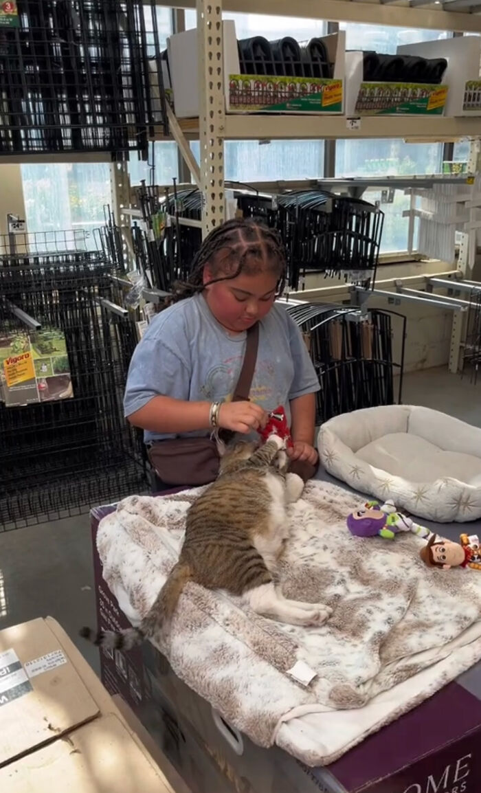 People Can’t Get Enough Of This Adorable Cat Living And Working At Home Depot People Can’t Get Enough Of This Adorable Cat Living And Working At Home Depot