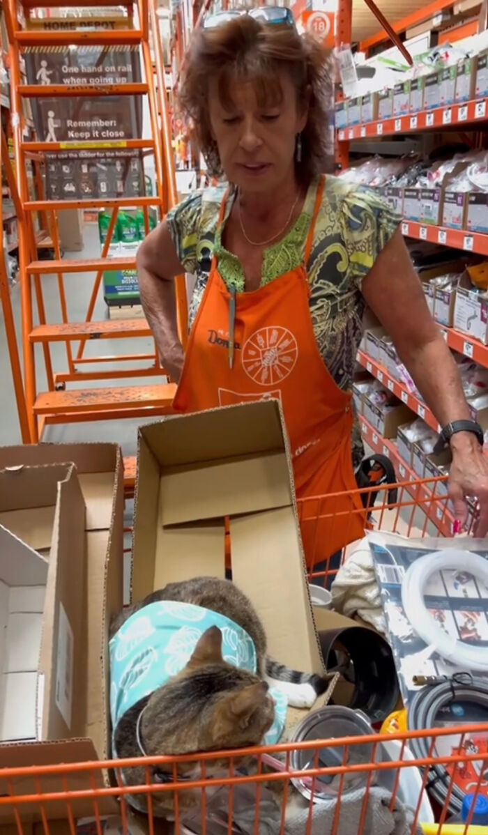 People Can’t Get Enough Of This Adorable Cat Living And Working At Home Depot People Can’t Get Enough Of This Adorable Cat Living And Working At Home Depot