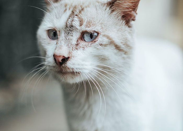 “Brought Up In A Cult”: 35 Things People Went Through As Kids And Didn’t Realize Were Unusual