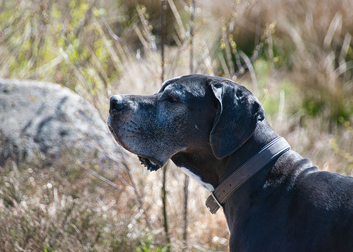 “Brought Up In A Cult”: 35 Things People Went Through As Kids And Didn’t Realize Were Unusual