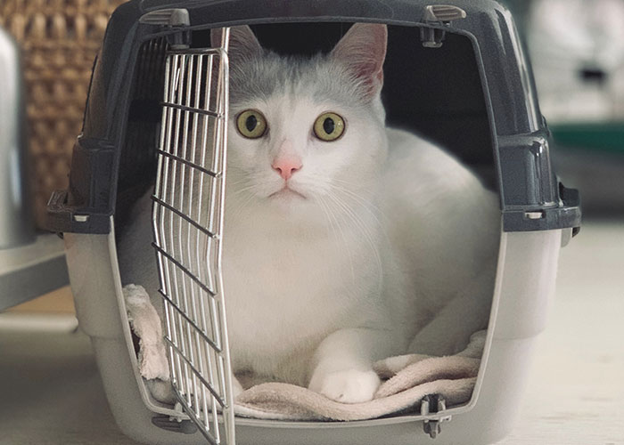 “She Was Screaming The Entire Time”: 50 Horrific Things To Have Happened On Flights