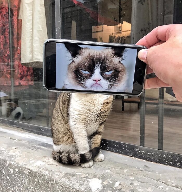 I Continue To Bring Everyday Objects To Life With My Smartphone And No Photoshop