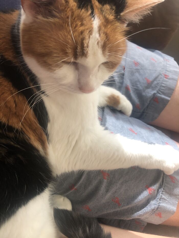 Watching Indiana Jones W/ Her And My Dad