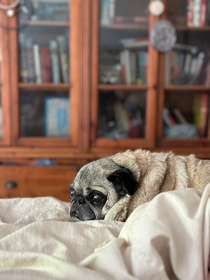 I Mean This Face Always Makes Things A Little Better