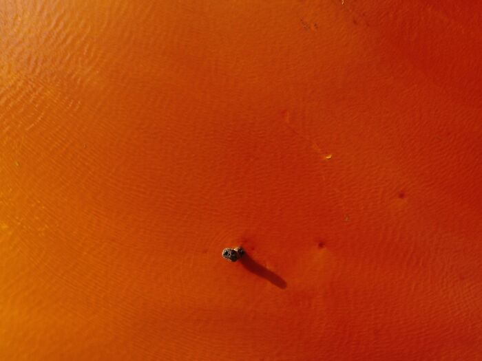 Geamana: The Toxic Village