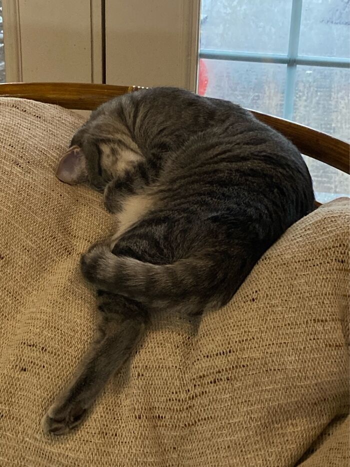 She Sleeps In Very Weird Positions…