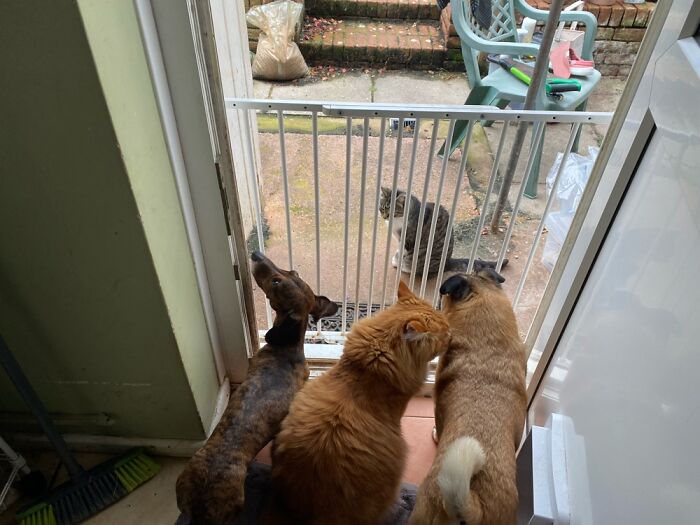 Who Is The Odd One Out ?