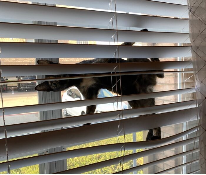 Nothing To See Here. - Blanche