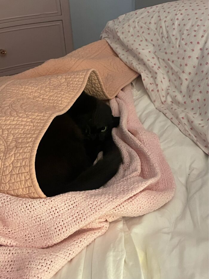 We Live In Vegas. It’s Way Not Cold Here. And Yet… Under Her Quilt