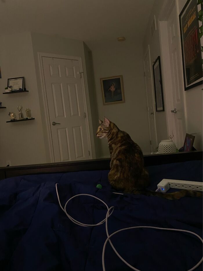 Her Tongue Gets Stuck Sometimes… 👁️👅👁️