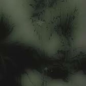 jordan-shepard27 avatar