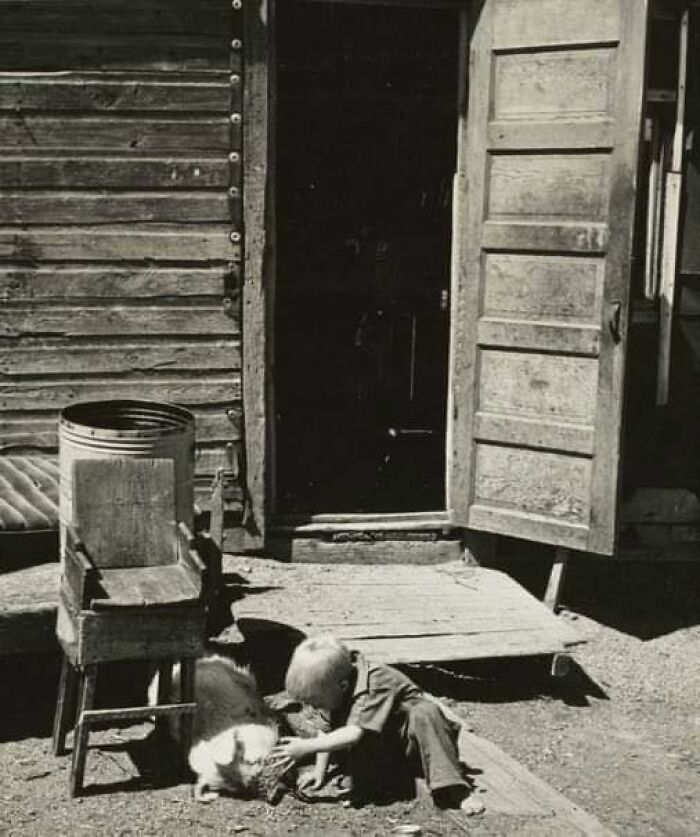 Little Boy Playing With A Pig, 1937