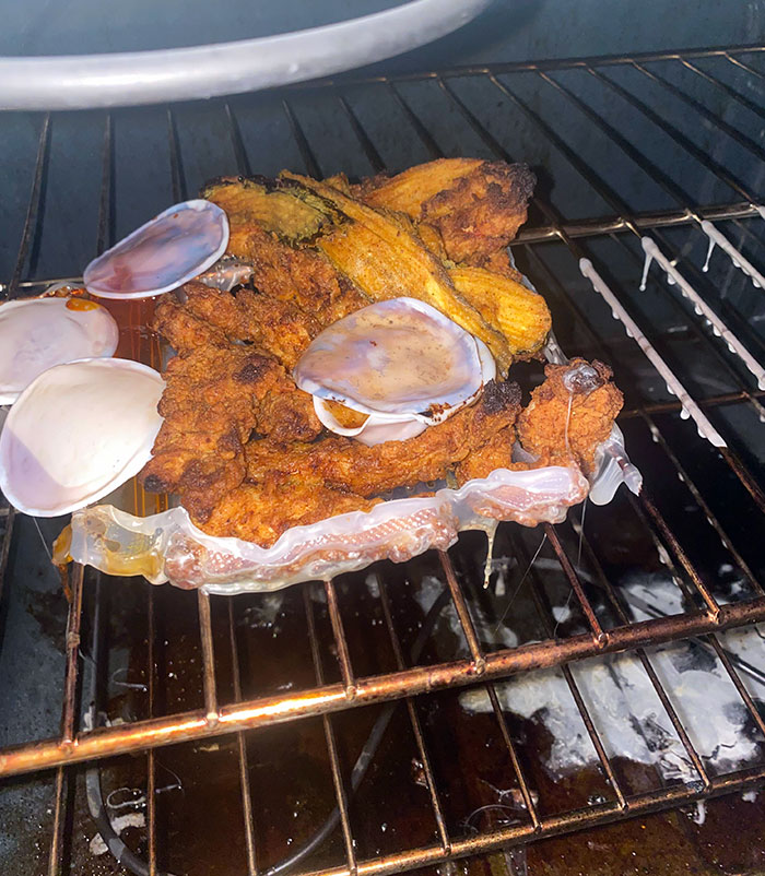  I Didn’t Check The Oven Before Preheating Last Night