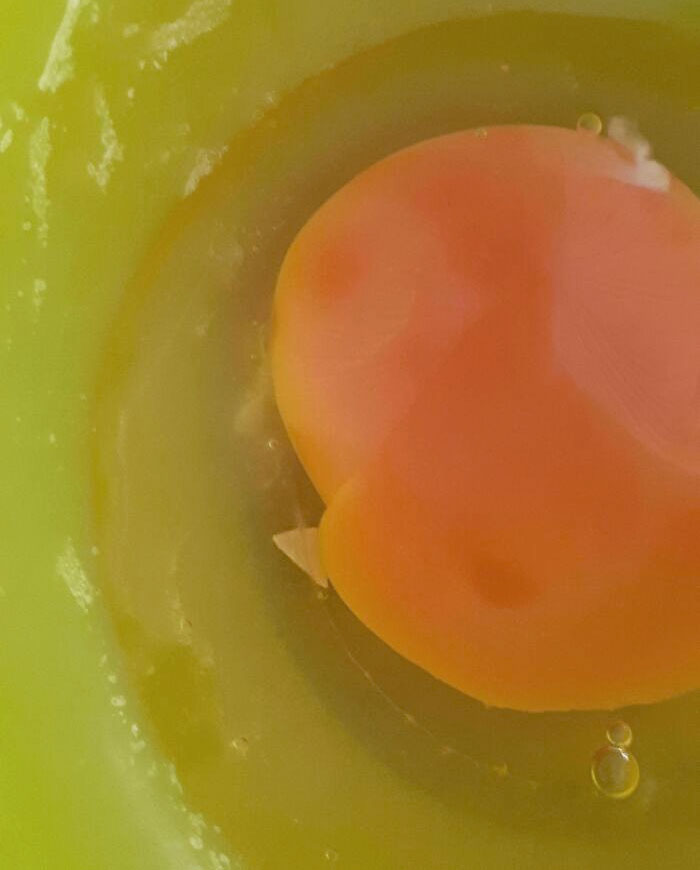 Those Pieces Of Eggshell