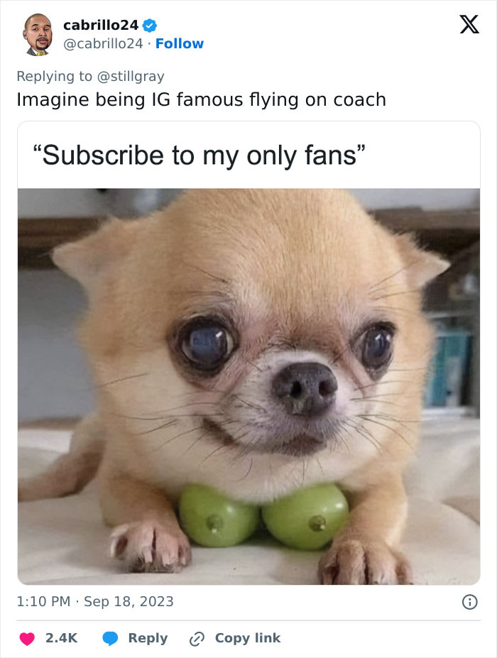 Woman Gets Kicked Off A Plane After Having An Embarrassing Meltdown