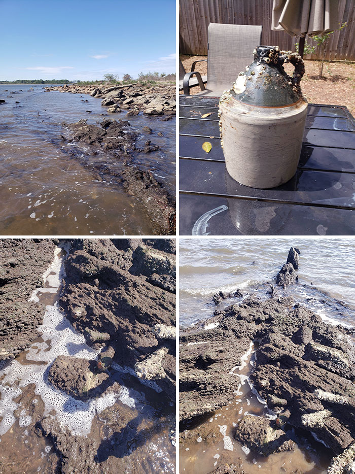 Not Exactly Metal Detecting, But I Figured You All Would Appreciate It. More Than 120-Year-Old Rum Jug I Found In A Sunken Ship