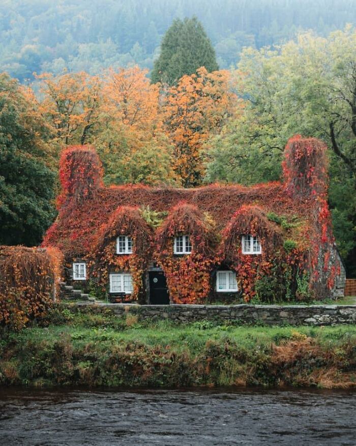 Abandoned House In Forest