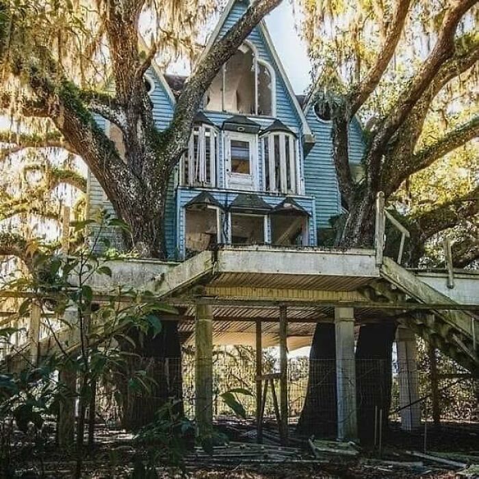The Owner Of This Amazing Treehouse Was An Oil Magnate And Built This House For His Grandkids