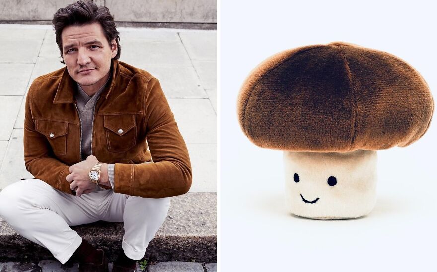 Twitter User Compares Pedro Pascal To Mushrooms And Squirrels And The Result Is Fun And Accurate (20 Pics)