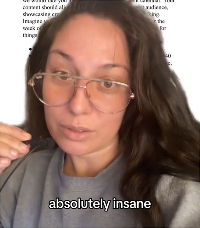 Woman Shows How Companies Try To Steal Creative Ideas From You