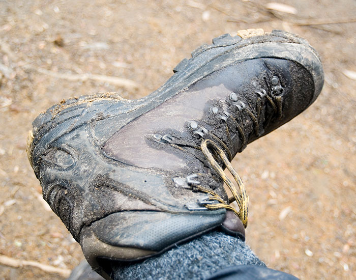 Woman Gets Revenge On Teen For Using Her Yard As A Shortcut, Pretends It Wasn’t Planned At All
