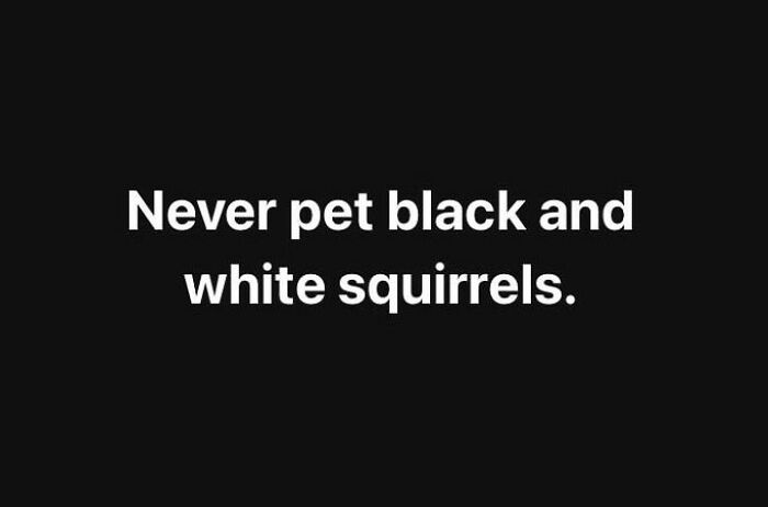 Text on black background reads: "Never pet black and white squirrels."
