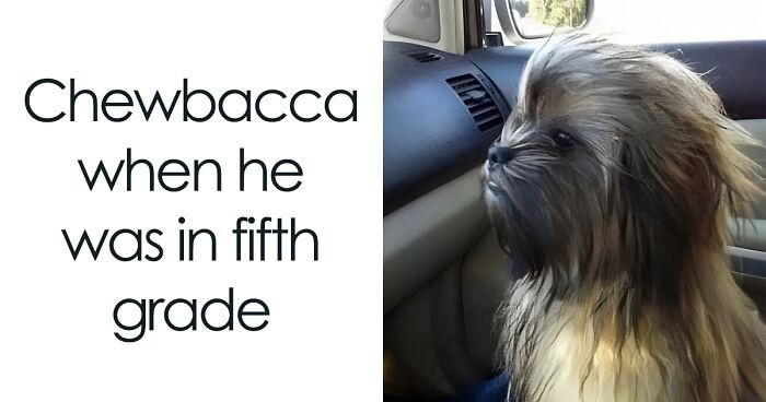 45 Funny And Polite Memes That Don’t Laugh At Anyone’s Expense, As Shared By This Facebook Page