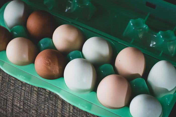 eggs inside carton