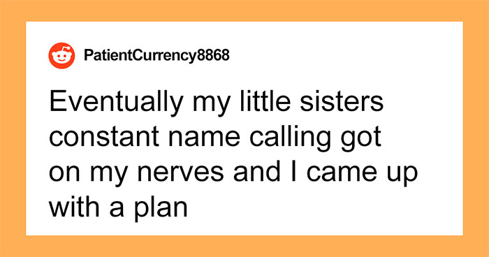 “Be A Man And Move Out”: Guy Has Enough Of His Mean Little Sister, Gets Revenge