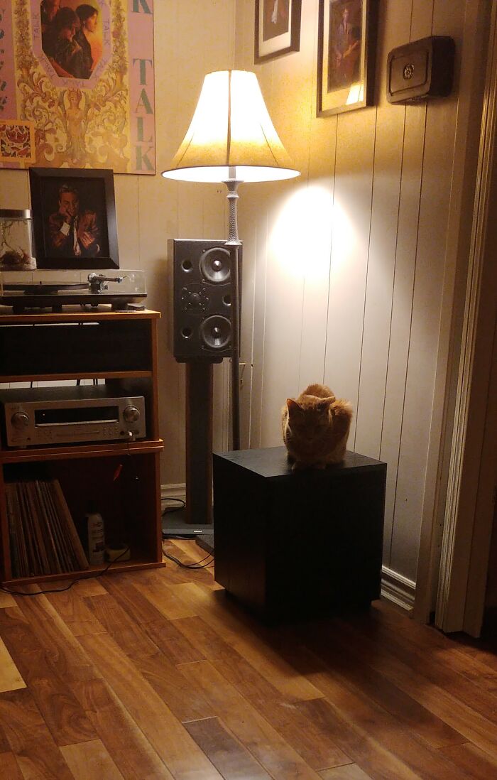 Turn Up The Bass, Please