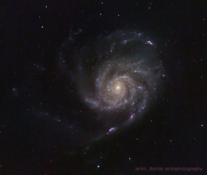 A photograph of M101 - The Pinwheel Galaxy