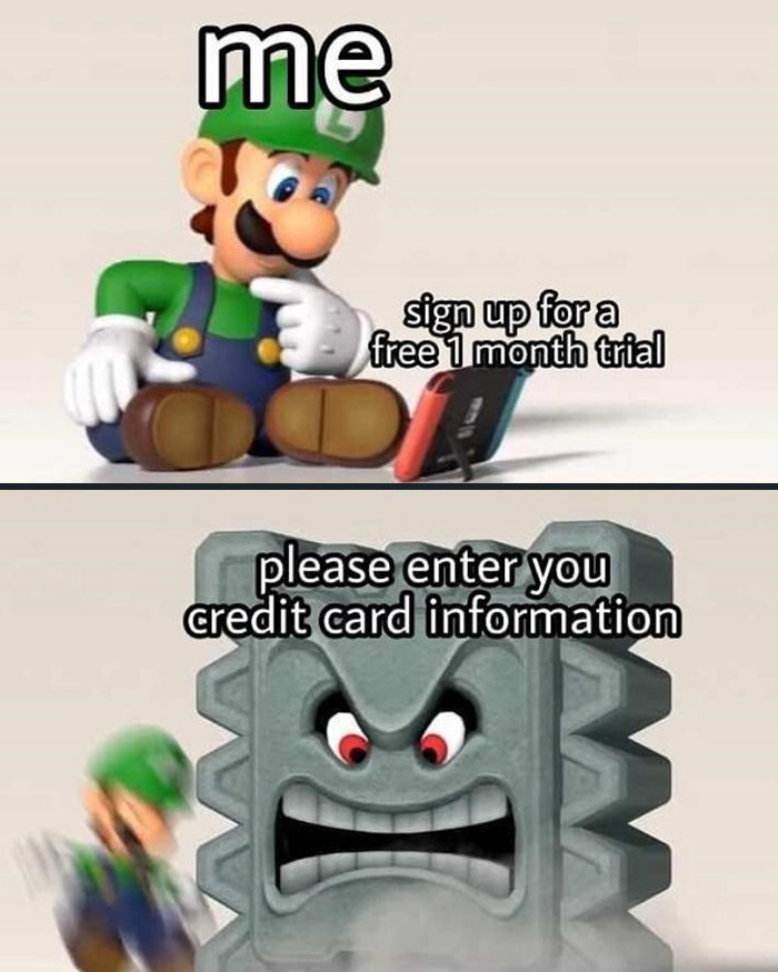Luigi caught off-guard by Thwomp while attempting to sign up for a free trial, representing Mario memes humor.