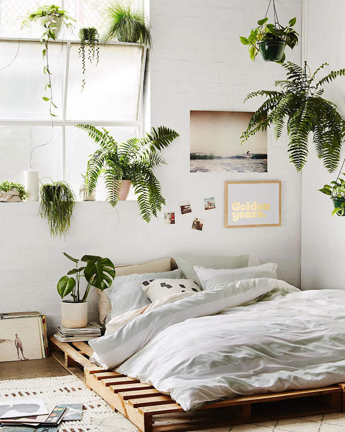 White master bedroom with wooden pallet bed and abundant green plants for a fresh and natural decor style.