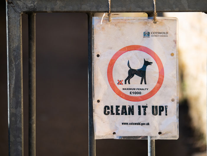 Woman Throws Dog Waste In Her Neighbors&rsquo; Bins And Doesn&rsquo;t See The Problem With It, BF Ends It