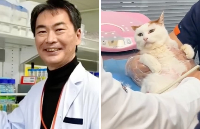 Cat Lovers Rejoice As New Medicine Will Extend Cat Lifespan To 30 Years