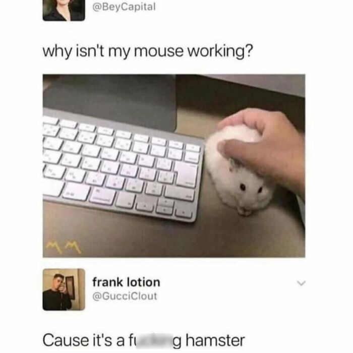 Funny Daily Memes For You (24 Pics)