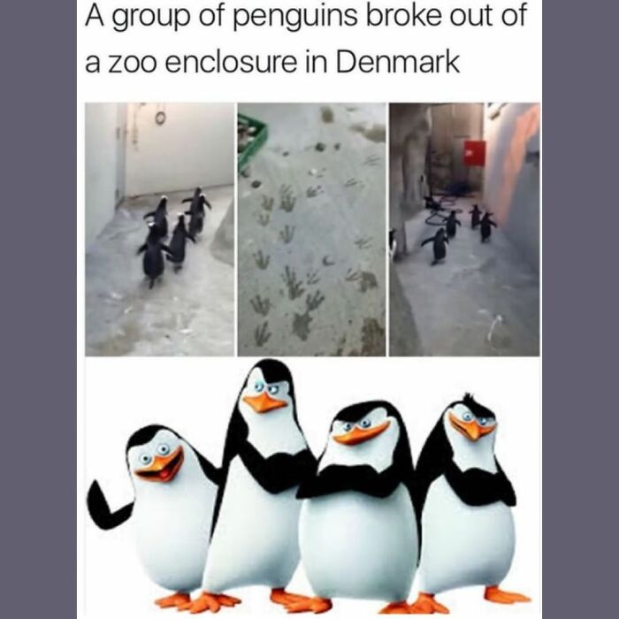 Funny Daily Memes For You (24 Pics)