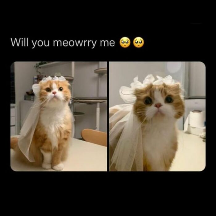 Funny Daily Memes For You (24 Pics)