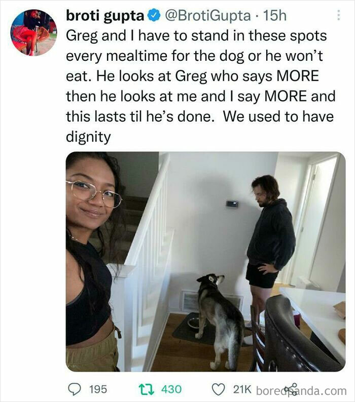 Get A Dog They Said. It'll Be Fun!