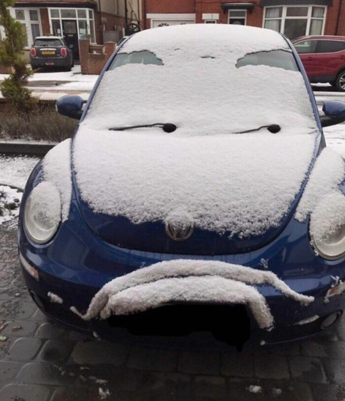 This Car Is Not Amused
