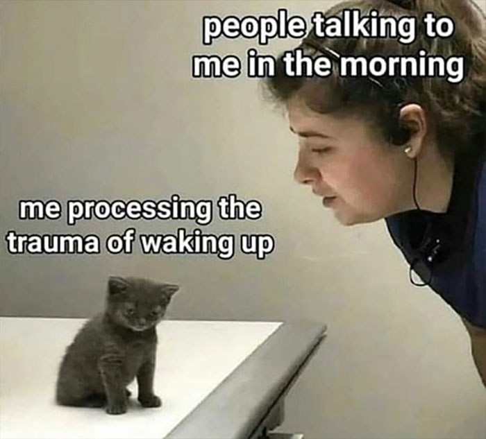 Person talking to a kitten with text overlay about morning struggle, capturing funny meme vibe.