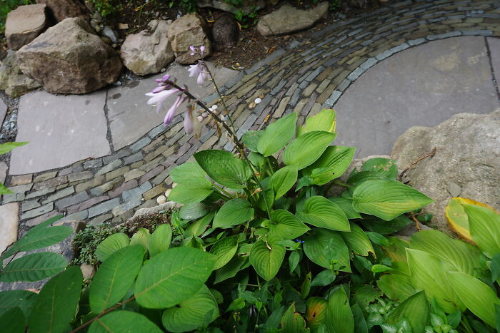 I Built A Unique Stone Path (6 Pics)