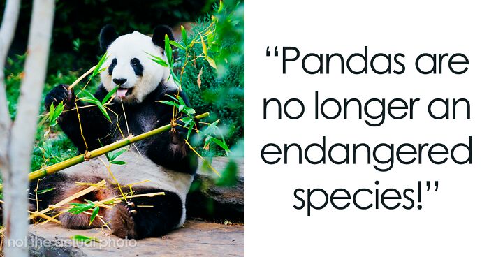 30 Good Things Happening In The World Right Now That Many People Don’t Think Of